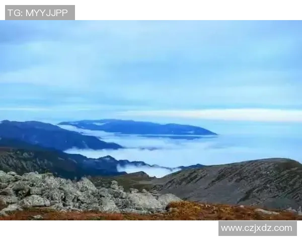 仙台七仙与山形山神激战在即谁能在这场对决中笑到最后